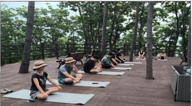 해발 1000m ‘매봉산 천상의 숲’ 인기…이용객 172% 급증