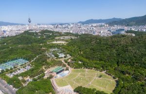대구 두류공원에 2만석 돔구장 추진…2031년 착공 목표