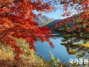 단풍철 국립공원 21일부터 집중단속…샛길·취사·흡연 등 대상