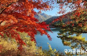 단풍철 국립공원 21일부터 집중단속…샛길·취사·흡연 등 대상