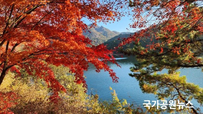 단풍철 국립공원 21일부터 집중단속…샛길·취사·흡연 등 대상