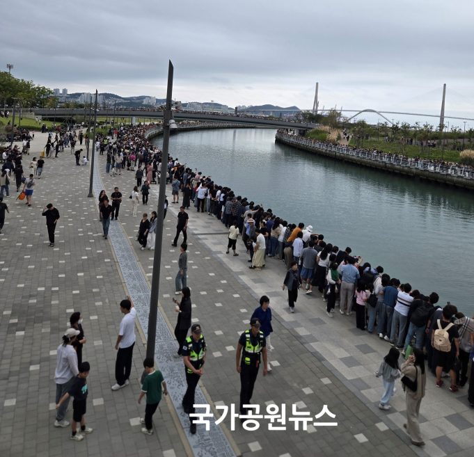 부산 북항친수공원 고립 상어, 외해로 유도해 방류 추진