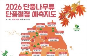 올가을 단풍 절정은 10월 말…설악산 20일·내장산 11월 4일 전망