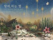척박한 사막서 피어난 ‘오색 별’… 다육식물의 신비한 생존기