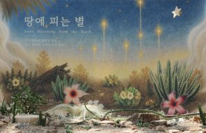 척박한 사막서 피어난 ‘오색 별’… 다육식물의 신비한 생존기
